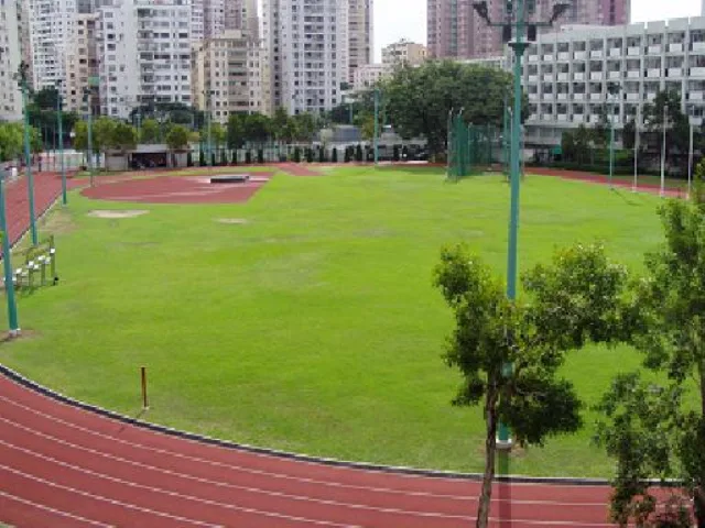 Perth Street Sports Ground photo 2