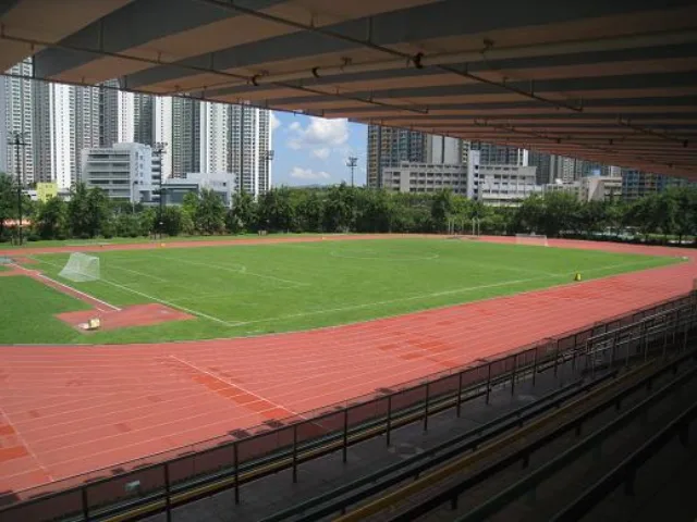 Tin Shui Wai Sports Ground photo 2